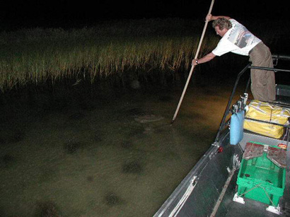 Flounder Gigging